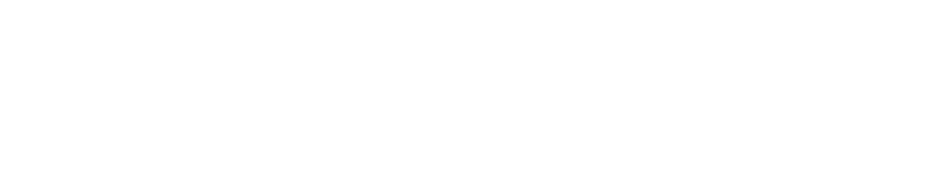 DiForce